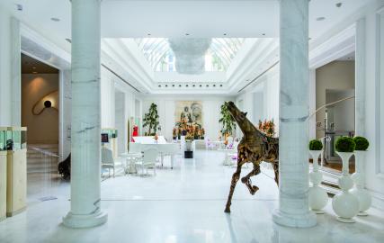 Welcome to the new Boscolo Collection website
