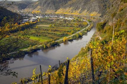 Vineyards and Wine from Lyon: A Day in the Beaujolais Crus from Boscolo Lyon